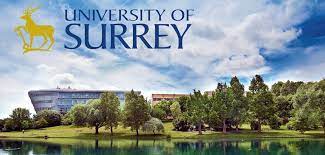 Scholarship for masters degree on language and translations at university of Surrey
