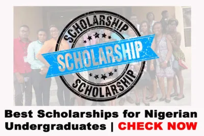 Nigerian Scholarships For Undergraduates